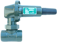 Model 5646 Pressure Regulator